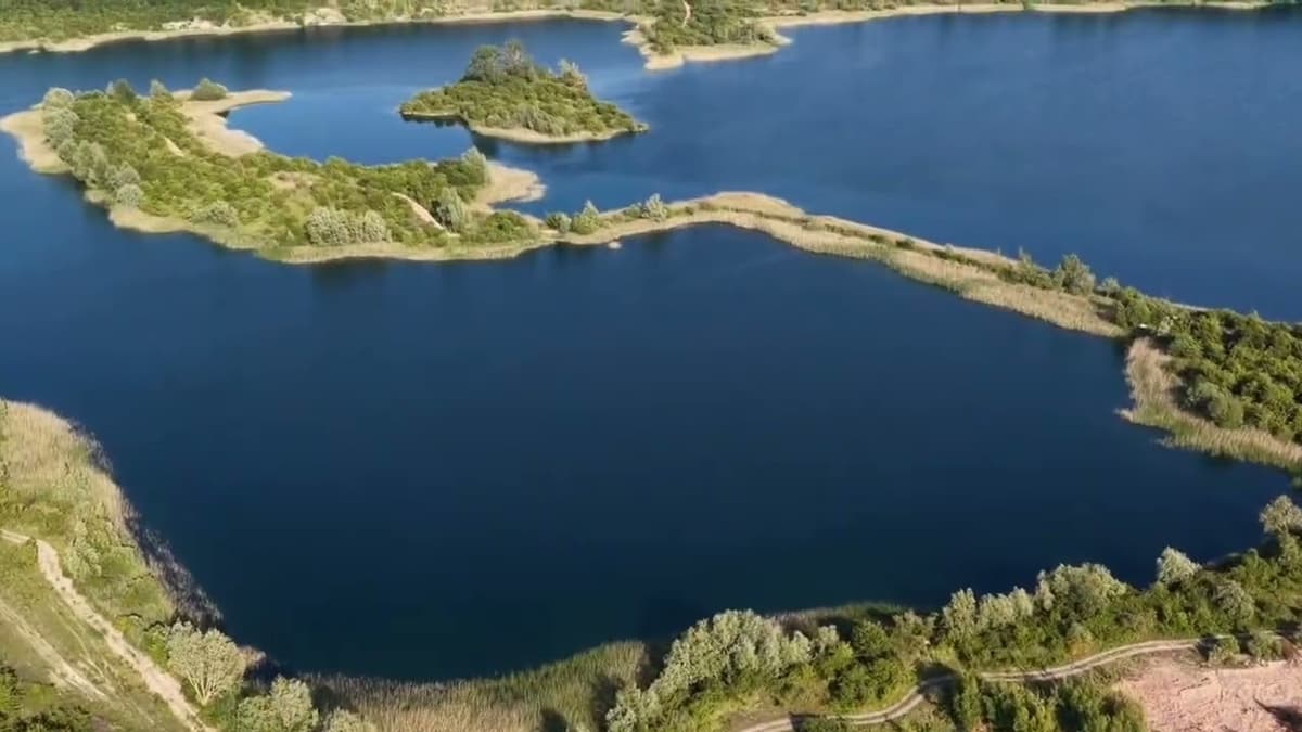 Project Universal LIVE stream - 10th June 2025