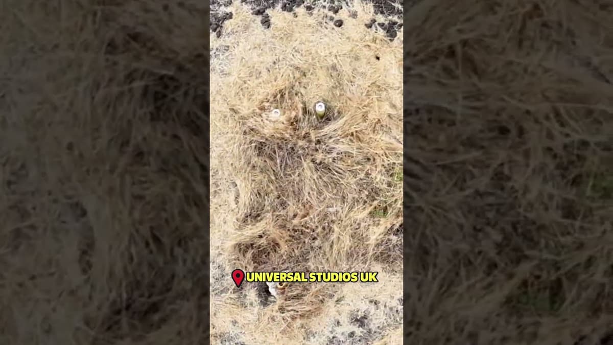 Mysterious Square in the Field #shorts