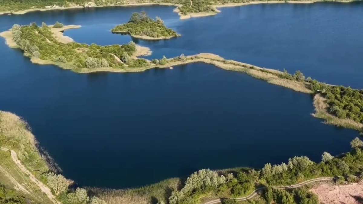 Project Universal LIVE stream 10th June 2025